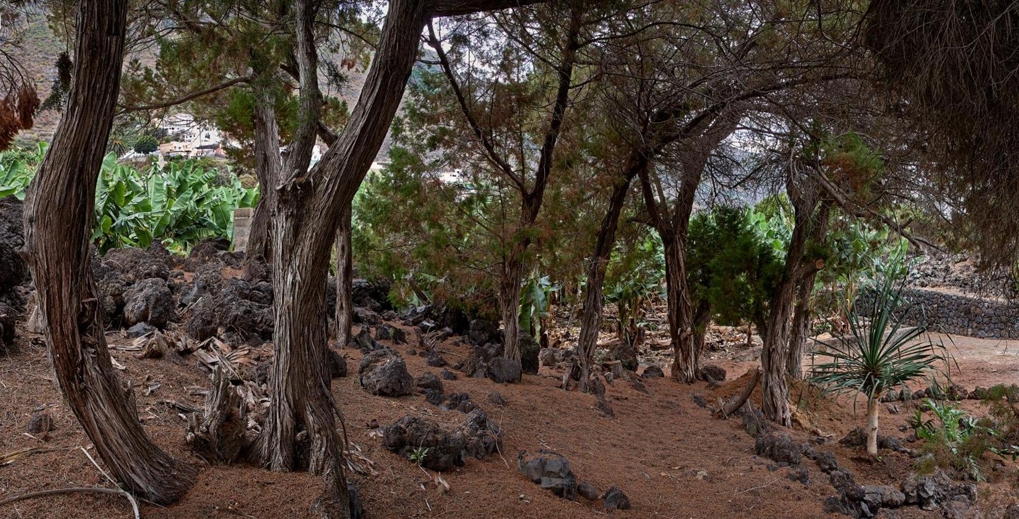 Las Sabinas Villa - El Guincho, Garachico Garachico  Luaran gambar